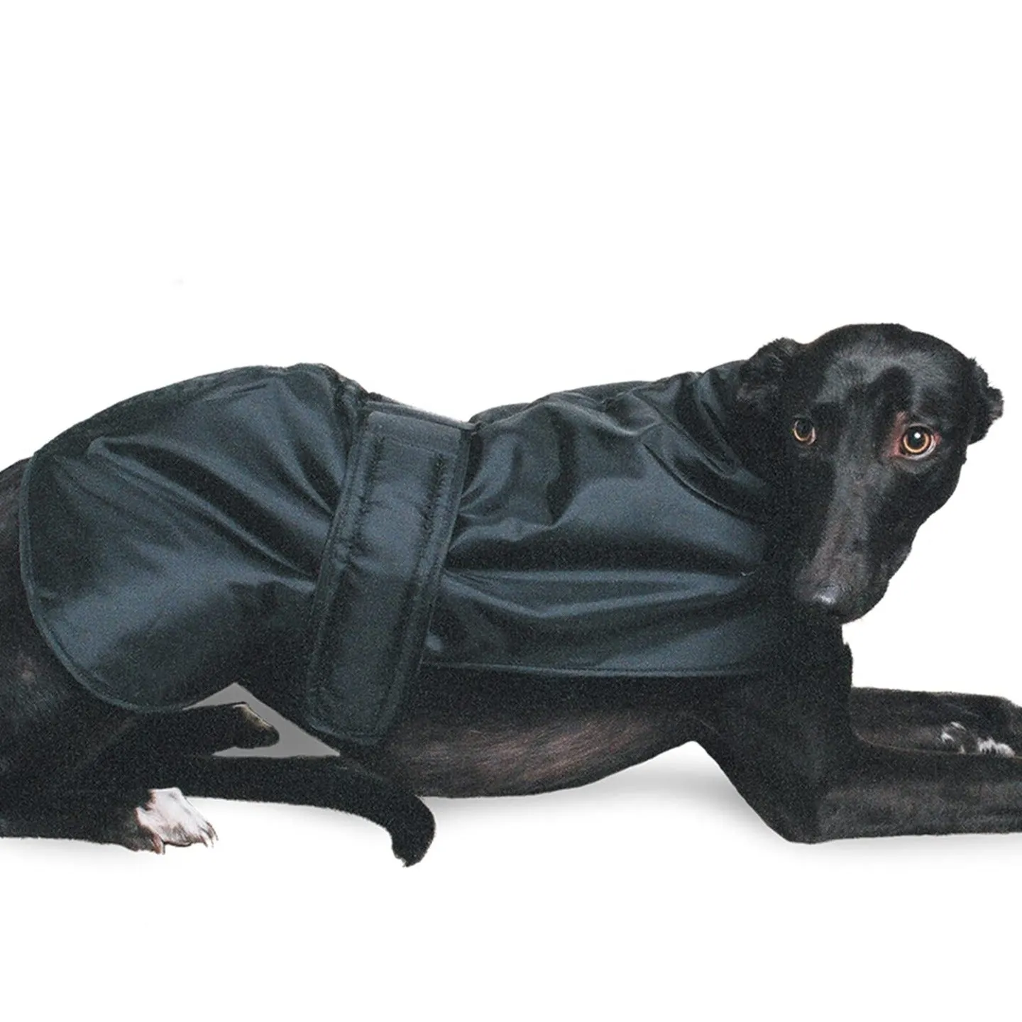 Ancol Hound Coat for Greyhounds & Whippets