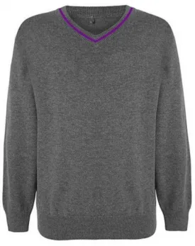 ARK KINGS ACADEMY SECONDARY V-NECK KNITWEAR