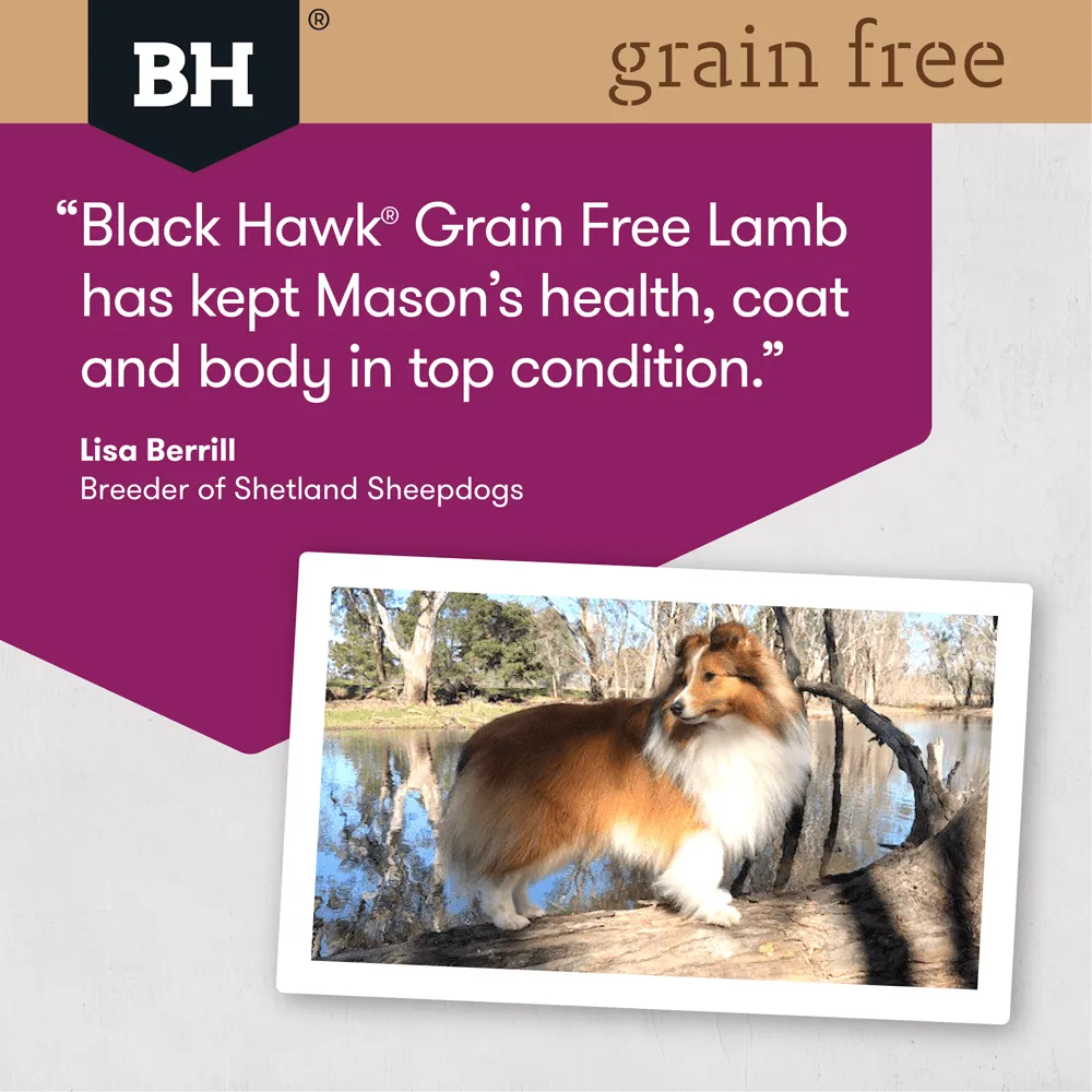 BLACK HAWK - Grain Free Dry Dog Food Adult Lamb