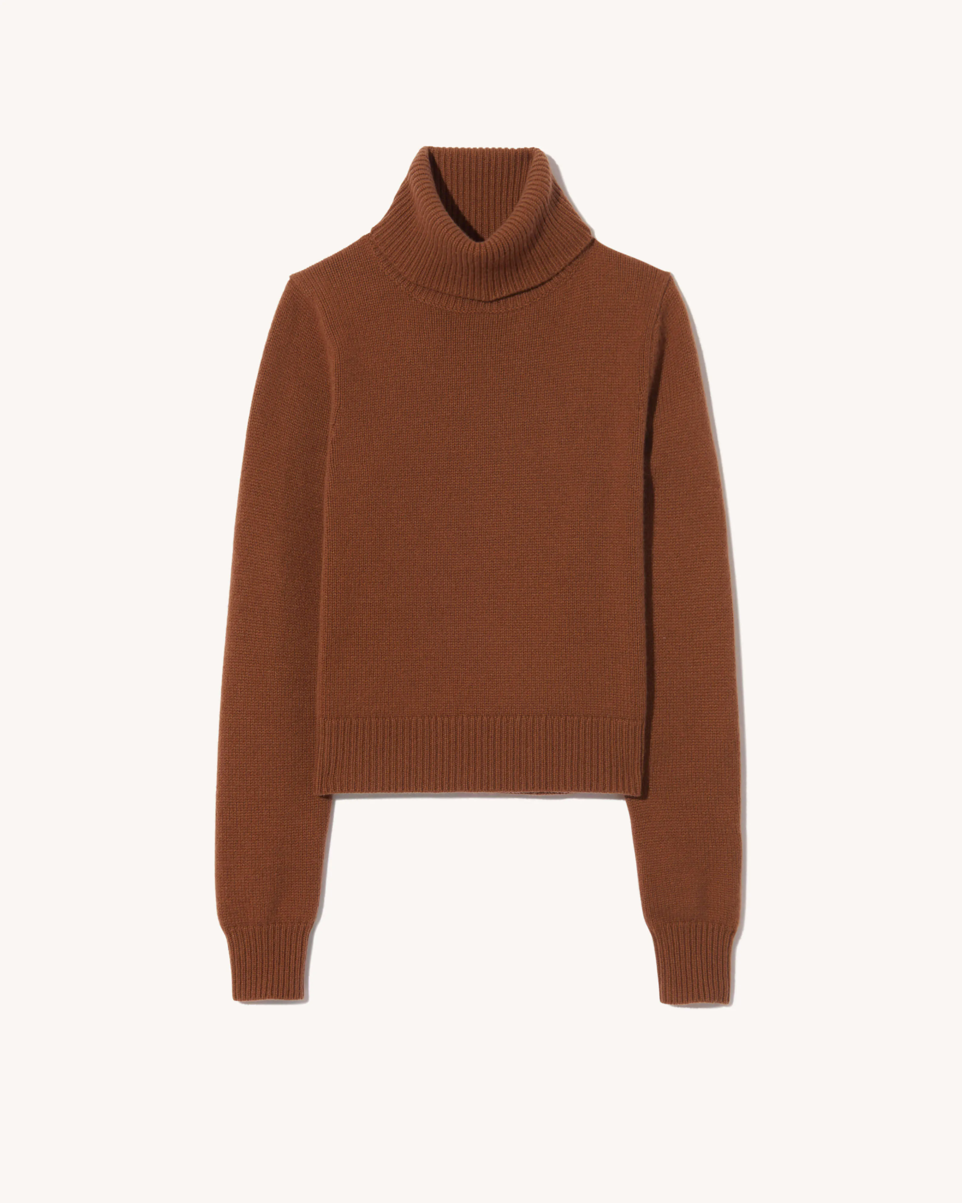 HOLLYN CASHMERE TURTLENECK SWEATER